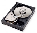 HDD Western Digital WD800JD