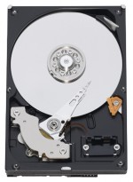 HDD Western Digital WD5000AAKS