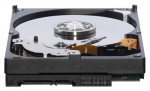Western Digital WD5000AAKS (#2)