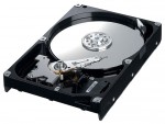 HDD Samsung HD161HJ