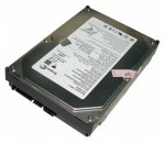 HDD Seagate ST3160023AS