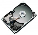 HDD Maxtor STM31000340AS