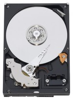 HDD Western Digital WD10EAVS