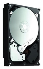 HDD Seagate ST3500412AS