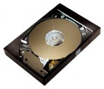 HDD Maxtor 6E040L0