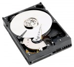 HDD Western Digital WD1600JS
