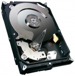 HDD Seagate ST1500DM003