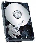 HDD Seagate ST3500641AS