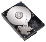 HDD Seagate ST3808110AS