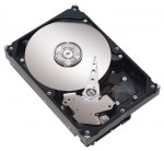 Seagate ST3808110AS