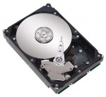 HDD Seagate ST3250823NS