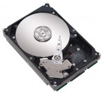 HDD Seagate ST3250623NS