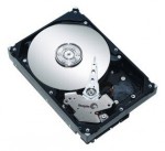 HDD Seagate ST3250624AS