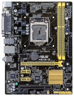 ASUS H81M-C