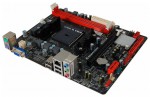 Biostar A58ML Ver. 7.x (#2)