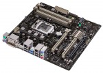 ASUS CS-B (#2)