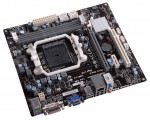 ECS A55F2P-M2 (V1.0) (#2)