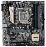 Материнская плата ASUS H170M-PLUS