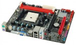 Biostar A55MLV Ver. 6.x (#2)