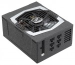 FSP Group AURUM PT-1000FM 1000W