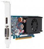 HP GeForce 310 589Mhz PCI-E 2.0 512Mb 1580Mhz 64 bit DVI HDCP